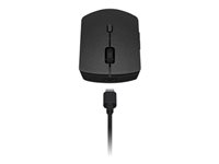 Lenovo Professional Combo - Sæt med mus og tastatur - trådløs - Bluetooth 5.1, 2.4 GHz - fransk - grå - brun kasse - CRU 4X31K03942