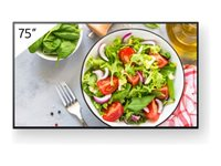 Sony Bravia Professional Displays FW-75BZ35L - 75" Diagonal klasse BZ35L Series LED-bagbelyst LCD paneldisplay - digital skiltning - Android TV - 4K UHD (2160p) 3840 x 2160 - HDR - Direct LED FW-75BZ35L
