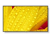 NEC MultiSync M651-2 - 65" Diagonal klasse (64.5" til at se) - M Series LED-bagbelyst LCD paneldisplay - digital skiltning - med indbygget medieafspiller / valgfri slot-in PC funktionalitet - 4K UHD (2160p) 3840 x 2160 - HDR - direkte belyst LED - pantone 426M 60006086