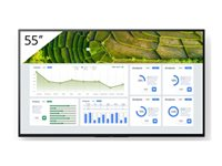 Sony Bravia Professional Displays FW-55BZ30L - 55" Diagonal klasse BZ30L Series LED-bagbelyst LCD paneldisplay - digital skiltning - Android TV - 4K UHD (2160p) 3840 x 2160 - HDR - Direct LED - med TEOS Manage FW-55BZ30L/TM