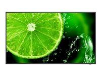 NEC MultiSync E328-2 - 32" Diagonal klasse (31.5" til at se) - E Series LED-bagbelyst LCD paneldisplay - digital skiltning - 1080p 1920 x 1080 - HDR - Direct LED 60006113