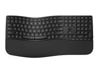 HP 685 - Tastatur - dual mode, 3-zone layout, multi-enhed, 23 programmerbare taster, OS Auto-Detection, lavprofil tastetryk - 100% - full size - trådløs - 2.4 GHz - Pan Nordic - sort - kampagne 8T6L9UT#UUW