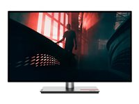 Lenovo ThinkVision P27h-30 - LED-skærm - QHD - 27" 63A1GAT1EU