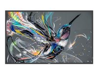Philips 32BDL3511Q - 32" Diagonal klasse (31.5" til at se) - Q-Line LED-bagbelyst LCD paneldisplay - digital skiltning - 1080p 1920 x 1080 32BDL3511Q/00