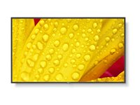 NEC MultiSync M431-2 - 43" Diagonal klasse (42.5" til at se) - M Series LED-bagbelyst LCD paneldisplay - digital skiltning - med indbygget medieafspiller / valgfri slot-in PC funktionalitet - 4K UHD (2160p) 3840 x 2160 - HDR - direkte belyst LED - pantone 426M 60006083