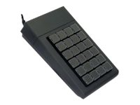 Active Key AK-100/24 - Tastatur - PS/2 - sort AK-100-PW-B/24