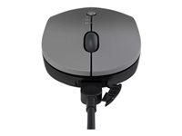 Lenovo Go Multi-device - Mus - blå optisk - 3 knapper - trådløs - 2.4 GHz, Bluetooth 5.0 - USB-C trådløs modtager - tordensort 4Y51C21217