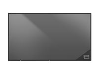 NEC MultiSync P555 PG-2 - 55" Diagonal klasse P Series LED-bagbelyst LCD paneldisplay - digital skiltning - 4K UHD (2160p) 3840 x 2160 - HDR - kantbelyst - sort, pantone 426M 60005859