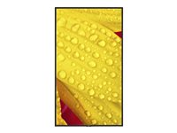 NEC MultiSync ME501 - 50" Diagonal klasse ME Series LED-bagbelyst LCD paneldisplay - digital skiltning - 4K UHD (2160p) 3840 x 2160 - direkte belyst LED - pantone 426M 60005053
