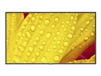 NEC MultiSync ME501 - 50" Diagonal klasse ME Series LED-bagbelyst LCD paneldisplay - digital skiltning - 4K UHD (2160p) 3840 x 2160 - direkte belyst LED - pantone 426M 60005053