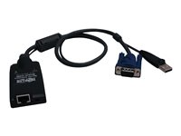 Eaton Tripp Lite Series USB Server Interface Module for B064 -IPG KVM Switches TAA GSA - KVM-forlænger - op til 50 m - for P/N: B064-016-02-IPH, B064-016-04-IPH, B064-032-01-IPH, B064-032-02-IPH, B064-032-04-IPH B055-001-USB-V2