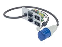 APC - Strømfordelingsenhed - AC 230 V - input: strøm - output-stikforbindelser: 3 (IEC 60320 C19, IEC 60309) - for Symmetra RM 12kVA, 2kVA, 4kVA, 6, 8kVA SYPD10