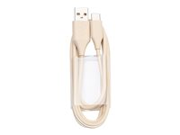 Jabra - USB-kabel - USB (han) til 24 pin USB-C (han) - 1.2 m - beige 14208-33