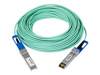 NETGEAR - 10GBase-kabel til direkte påsætning - SFP+ (han) til SFP+ (han) - 7 m - dobbelt-axial - aktiv AXC767-10000S