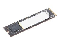Lenovo - SSD - krypteret - 1 TB - intern - M.2 2280 - PCIe 4.0 (NVMe) - TCG Opal Encryption 2.0 - for ThinkPad T14s Gen 6; X13 Gen 6; ThinkStation P2 Tower Gen 2; P3 Gen 2; P3 Ultra Gen 2 4XB1T87554
