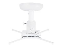 Multibrackets M Universal Ceilingmount - Monteringssæt (til loftmontering) - for projektor - hvid - loftsmonterbar 7350073730742