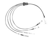 Cisco Direct-Attach Breakout Cable - Netværkskabel - SFP+ til QSFP+ - 10 m - SFF-8431/SFF-8436/SFF-8461 - aktiv - for Nexus 2348, 31XX, 93XX, 93XXX, X97160, X9736; ONE Nexus 32XX, 92XX, 93XXX; UCS C4200 QSFP-4X10G-AC10M=