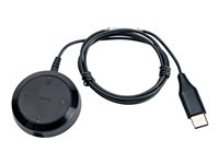 Jabra Link controller - USB-C til hovedtelefon jackstikadapter - 24 pin USB-C han til mini-phone stereo 3.5 mm hun - for P/N: 5393-829-389, 5399-829-389 14208-36