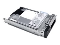 Dell - SSD - Read Intensive - 1.92 TB - 2.5" (i 3,5" bæreetui) - SATA 6Gb/s - for PowerEdge C6420 (3.5") 345-BDSG
