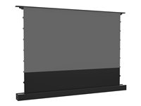 Multibrackets M - Projektor skærm med gulvholder - LS, electric, rising, RS232 - fritstående - motoriseret - 118" (300 cm) - 16:9 - ALR UST - sort 7350105218620