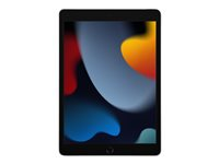 Apple 10.2-inch iPad Wi-Fi + Cellular - 9. generation - tablet - 256 GB - 10.2" - 3G, 4G MK4H3KN/A