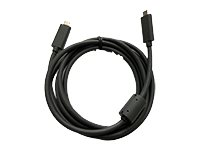 Logitech - USB-kabel - 24 pin USB-C (han) til 24 pin USB-C (han) - for Rally 993-002153