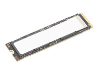 Lenovo - SSD - krypteret - 2 TB - performance - intern - M.2 2280 - PCI Express 5.0 x4 (NVMe) - TCG Opal Encryption 2.0 - CRU - for ThinkPad X1 2-in-1 Gen 10; ThinkStation P3 Gen 2; P3 Tiny Gen 2; P5; P7; P8 4XB1S30114