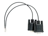 QNAP - Serielkonsolkabel - RJ-11 til RS-232 - 20 cm CAB-CONSOLE-RSRJ11-0M2