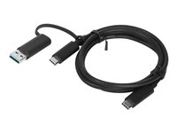 Lenovo - USB-kabel - 24 pin USB-C (han) til 24 pin USB-C (han) - 20 V - 5 A - 1 m - sort 4X90U90618
