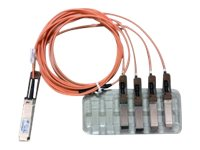 Cisco Direct-Attach Active Optical Cable - Netværkskabel - QSFP (han) til SFP+ (han) - 1 m - aktiv - beige - for Nexus 2348, 31XX, 93XX, 93XXX, X97160, X9736; ONE Nexus 32XX, 92XX, 93XXX; UCS C4200 QSFP-4X10G-AOC1M=