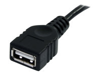 StarTech.com 10 ft Black USB 2.0 Extension Cable A to A - 10ft USB 2.0 Extension Cable - 10ft USB male female Cable (USBEXTAA10BK) - USB forlængerkabel - USB (han) til USB (hun) - USB 2.0 - 3 m - sort - for P/N: 35FCREADBK3, ICUSB2321F, ICUSB232PRO, ICUSB232V2, LTUB1MBK, MSDREADU2OTG, UUSBOTG USBEXTAA10BK