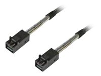 Intel - SAS internt kabel - SAS 12Gbit/s - gennemført lige - 4-Lane - 4 x Mini SAS HD (SFF-8643) (han) til 4 x Mini SAS HD (SFF-8643) (han) - 87.5 cm (pakke med 2) AXXCBL875HDHD