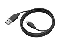 Jabra - USB-kabel - 24 pin USB-C (han) til USB Type A (han) - USB 3.0 - 2 m - for PanaCast 50, 50 Room System 14202-10