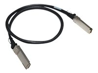 HPE X240 Direct Attach Cable - Netværkskabel - QSFP+ til QSFP+ - 1 m - for Apollo 4200, 4200 Gen10; Edgeline e920; FlexFabric 12900E 36, 12XXX; ProLiant e910t 2U JG326A