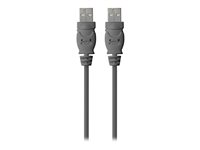 Belkin - USB-kabel - USB (han) til USB (han) - USB 2.0 - 1.8 m F3U131BT1.8M
