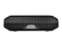 SanDisk - Harddisk - Enterprise - 22 TB - ekstern (stationær) - USB 3.2 Gen 2 (USB-C stikforbindelse) - 7200 rpm SDPHF1A-022T-MBAAD
