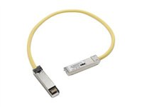 Cisco - Patchkabel - SFP (han) til SFP (han) - 50 cm - for Catalyst 3560, 3560E, 3560G, 3560V2, 3560X CAB-SFP-50CM=