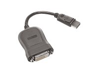 Lenovo - DVI-kabel - enkeltlink - DisplayPort (han) til DVI-D (hun) - 20 cm - grå 45J7915