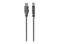 Belkin Premium Printer Cable - USB-kabel - USB Type B (han) til USB (han) - USB 2.0 - 4.8 m - formet F3U154BT4.8M