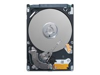 Dell - Harddisk - 1.2 TB - hot-swap - 2.5" - SAS 12Gb/s - 10000 rpm 400-AUUY