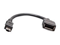 C2G AV Controller Administrator Key - USB-adapter - mini-USB type A (han) til USB (hun) - 30 V - formet - sort C2G40691