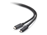 C2G 6ft (1.8m) USB-C Male to USB-C Male Cable (20V 5A) - USB 3.2 Gen 1 (5Gbps) - USB-kabel - 24 pin USB-C (han) til 24 pin USB-C (han) - USB 3.2 Gen 1 - 20 V - 5 A - 1.8 m - sort C2G28882