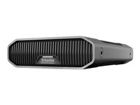 SanDisk - Harddisk - Enterprise - 12 TB - ekstern (stationær) - USB 3.2 Gen 2 (USB-C stikforbindelse) - 7200 rpm SDPHF1A-012T-MBAAD