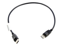 Lenovo - DisplayPort kabel - DisplayPort (han) til DisplayPort (han) - 0.5 m - for ThinkCentre M75t Gen 2; M80s Gen 3; M90a Gen 3; M90q Gen 2; M90t Gen 3; ThinkCentre neo 70 0B47396