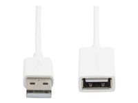 StarTech.com 1m White USB 2.0 Extension Cable Cord - A to A - USB Male to Female Cable - 1x USB A (M), 1x USB A (F) - White, 1 meter (USBEXTPAA1MW) - USB forlængerkabel - USB (hun) til USB (han) - USB 2.0 - 1 m - formet - hvid - for P/N: MSDREADU2OTG, USBEXTPAA2MW, USBEXTPAA3MW, USBPAUB1MW, USBPAUB2MW, USBPAUB50CMW USBEXTPAA1MW