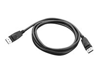 Lenovo - DisplayPort kabel - DisplayPort (han) til DisplayPort (han) - 1.8 m - for ThinkCentre M75t Gen 2; M80s Gen 3; M90a Gen 3; M90q Gen 2; M90t Gen 3; ThinkCentre neo 70 0A36537